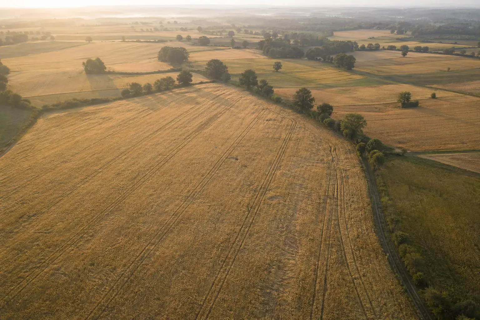 Polskie pola pszenicy z lotu ptaka